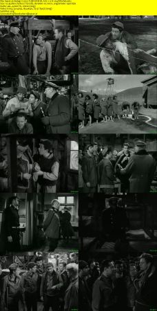 Stalag 17 1953 TUBI WEB-DL AAC 2.0 H264-PiRaTeS