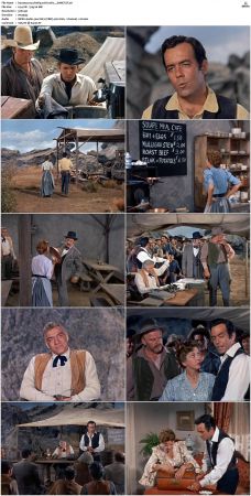 Bonanza S01 14 DVDRip XviD x264-SCENE