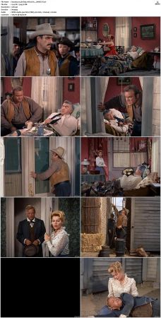 Bonanza S01 14 DVDRip XviD x264-SCENE