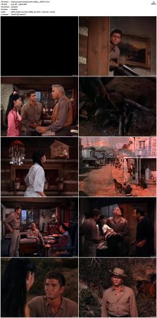 Bonanza S01 14 DVDRip XviD x264-SCENE