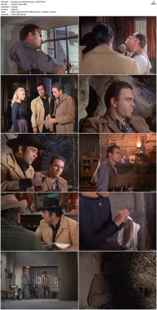 Bonanza S01 14 DVDRip XviD x264-SCENE