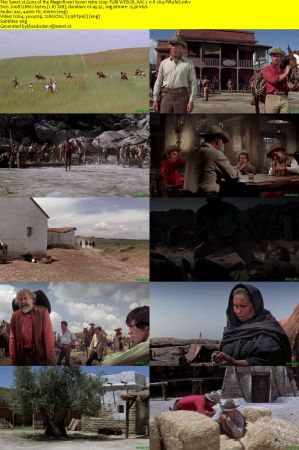 Guns of the Magnificent Seven 1969 720p TUBI WEB-DL AAC 2.0 H264-PiRaTeS