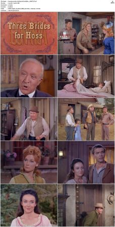 Bonanza S01-S14 DVDRip XviD x264-SCENE