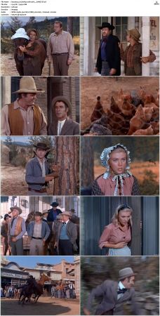 Bonanza S01 14 DVDRip XviD x264-SCENE