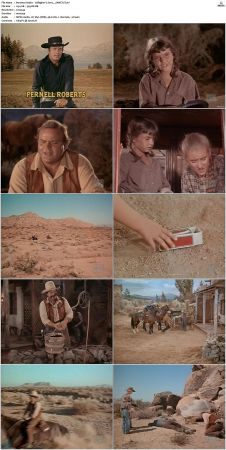 Bonanza S01 14 DVDRip XviD x264-SCENE