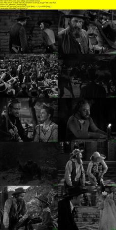 Arizona 1940 1080p x264-Classics