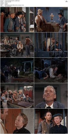 Bonanza S01 14 DVDRip XviD x264-SCENE