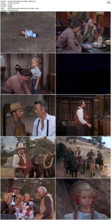 Bonanza S01-S14 DVDRip XviD x264-SCENE