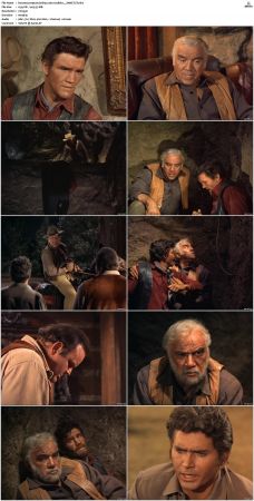 Bonanza S01-S14 DVDRip XviD x264-SCENE