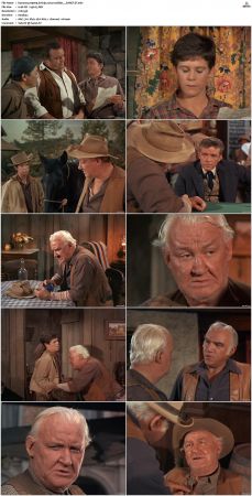Bonanza S01-S14 DVDRip XviD x264-SCENE