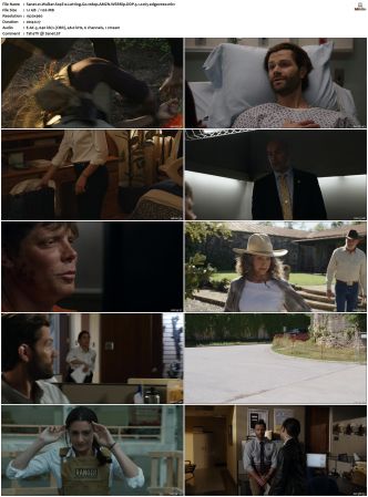 Walker S01-S04 1080p BluRay WEB DDP 5.1 x265-edge2020