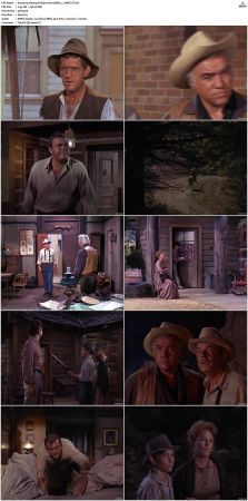 Bonanza S01 14 DVDRip XviD x264-SCENE