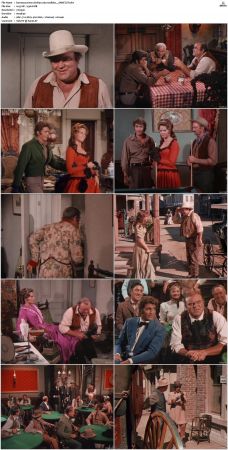 Bonanza S01-S14 DVDRip XviD x264-SCENE