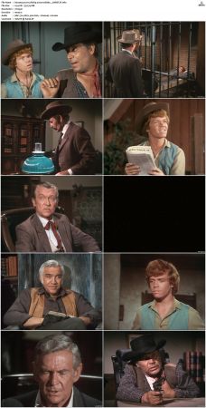 Bonanza S01-S14 DVDRip XviD x264-SCENE