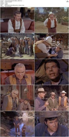 Bonanza S01-S14 DVDRip XviD x264-SCENE