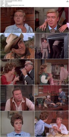 Bonanza S01-S14 DVDRip XviD x264-SCENE