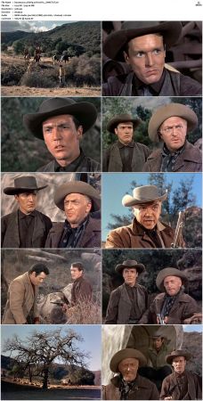 Bonanza S01 14 DVDRip XviD x264-SCENE