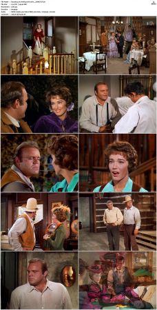 Bonanza S01 14 DVDRip XviD x264-SCENE