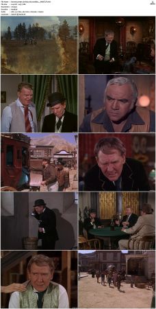Bonanza S01-S14 DVDRip XviD x264-SCENE