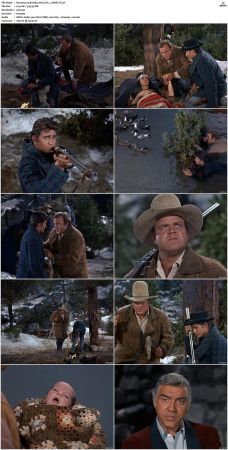 Bonanza S01 14 DVDRip XviD x264-SCENE