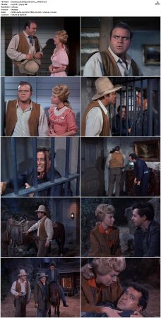Bonanza S01 14 DVDRip XviD x264-SCENE