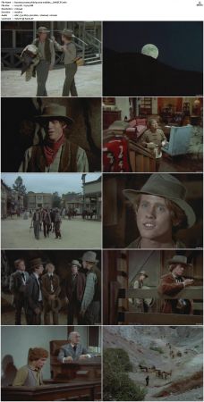 Bonanza S01-S14 DVDRip XviD x264-SCENE