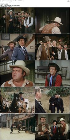 Bonanza S01-S14 DVDRip XviD x264-SCENE