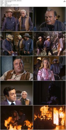 Bonanza S01-S14 DVDRip XviD x264-SCENE