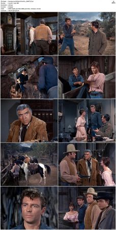 Bonanza S01 14 DVDRip XviD x264-SCENE