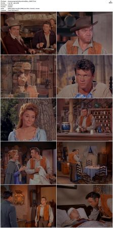 Bonanza S01 14 DVDRip XviD x264-SCENE