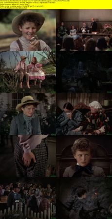 The Adventures Of Tom Sawyer 1938 1080p Bluray Opus 2.0 x264-RetroPeeps