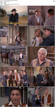 Bonanza S01-S14 DVDRip XviD x264-SCENE