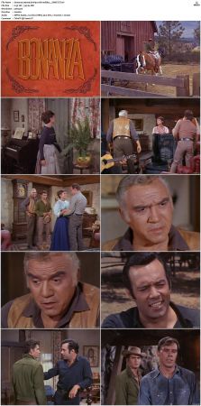Bonanza S01 14 DVDRip XviD x264-SCENE