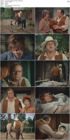 Bonanza S01-S14 DVDRip XviD x264-SCENE