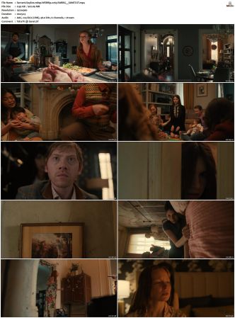 Servant S01 S04 1080p WEBRip x265-RARBG