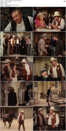 Bonanza S01-S14 DVDRip XviD x264-SCENE