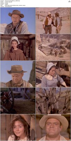 Bonanza S01 14 DVDRip XviD x264-SCENE