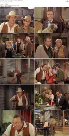 Bonanza S01-S14 DVDRip XviD x264-SCENE
