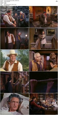 Bonanza S01-S14 DVDRip XviD x264-SCENE