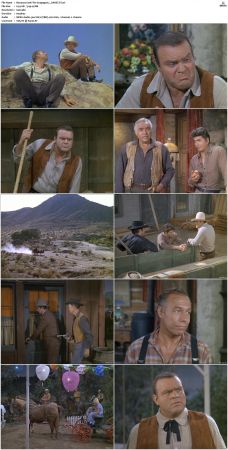 Bonanza S01 14 DVDRip XviD x264-SCENE