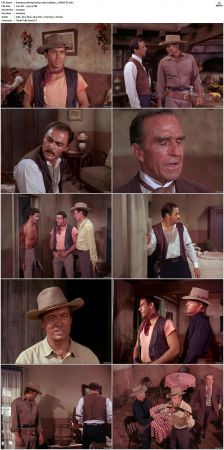 Bonanza S01-S14 DVDRip XviD x264-SCENE