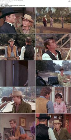 Bonanza S01-S14 DVDRip XviD x264-SCENE