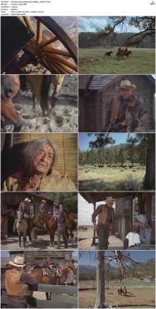 Bonanza S01-S14 DVDRip XviD x264-SCENE