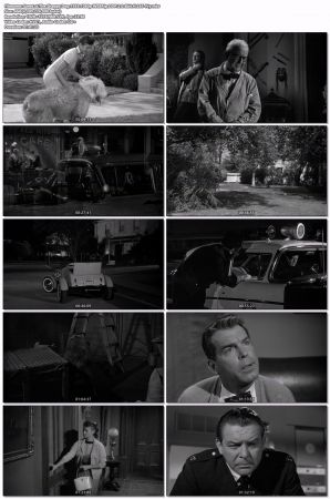 The Shaggy Dog 1959 1080p WEBRip DDP 2.0 8bit H265-iVy