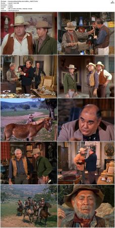 Bonanza S01-S14 DVDRip XviD x264-SCENE