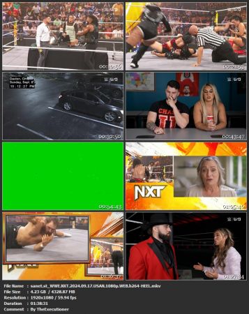 WWE NXT 2024 09 17 USAN 1080p WEB h264-HEEL