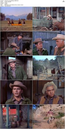 Bonanza S01 14 DVDRip XviD x264-SCENE