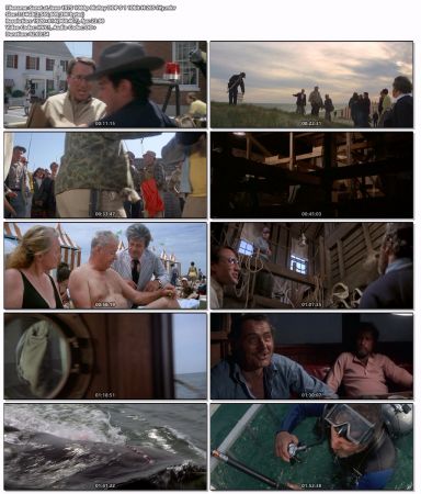 Jaws 1975 1080p BluRay DDP 5.1 10bit H265-iVy