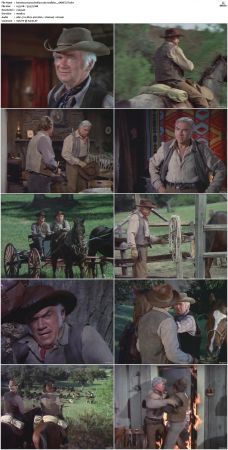 Bonanza S01-S14 DVDRip XviD x264-SCENE