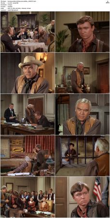 Bonanza S01-S14 DVDRip XviD x264-SCENE